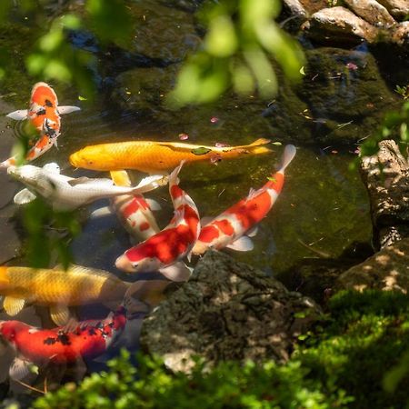 Hotel Suiun Hakone Zewnętrze zdjęcie