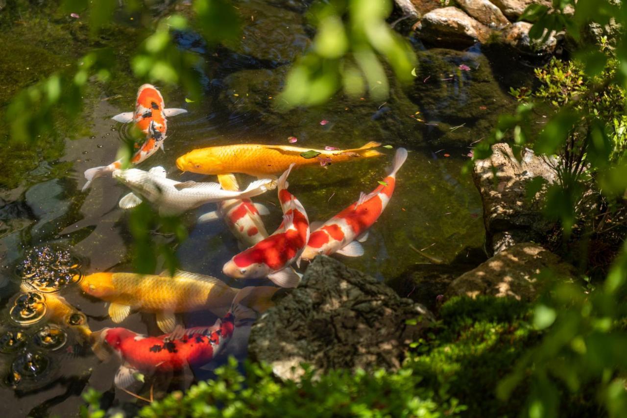 Hotel Suiun Hakone Zewnętrze zdjęcie